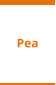 Pea