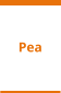 Pea